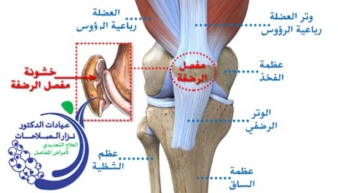 Dr Nizar Salahat